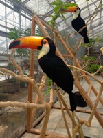 130807花鳥園2