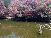 130807花鳥園3