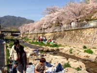 130405_ohanami