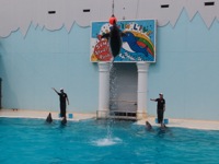 120528aquarium_8