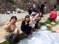 140403お花見01