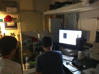 150822_1年生自主実験1