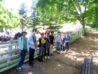 150520六甲山牧場3