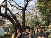 150402お花見2