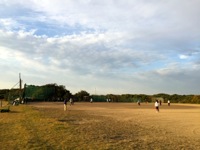 141117softball