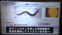 140722news5