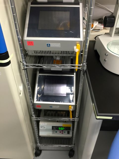 PCRです。2
