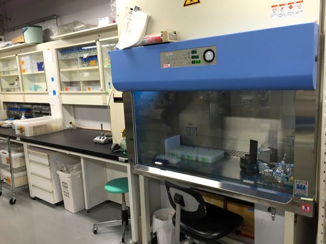 安全ベンチ