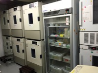 インキュベーターです。