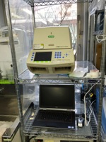 リアルタイムPCR